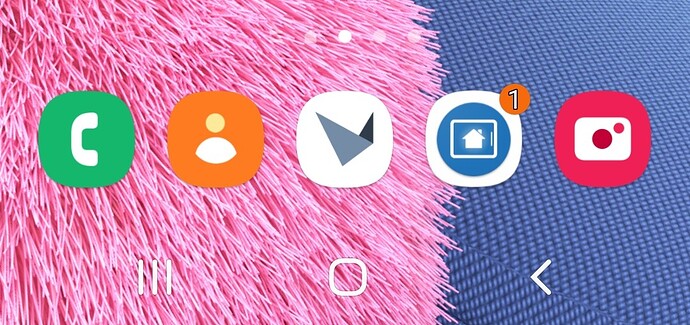 Screenshot_20210912-095005_One UI Home